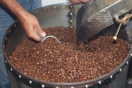 Exportación de café venezolano sube 62 %