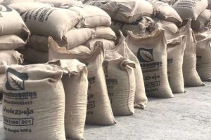 Exportan 19 toneladas de café verde para Italia desde Lara