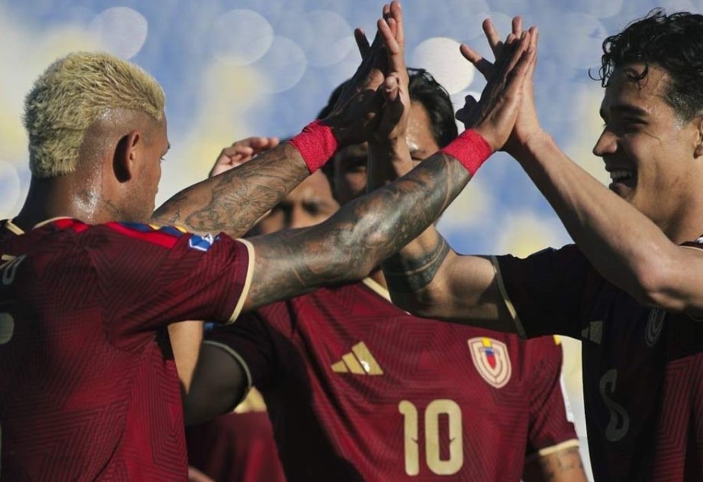 FVF - Vinotinto