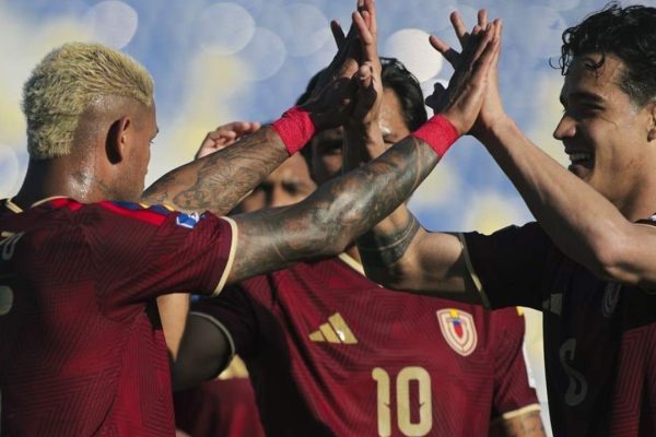FVF - Vinotinto