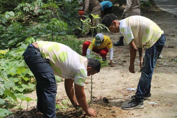 Ocumare de la Costa liderará jornada por los 20 años de Misión Árbol