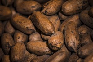 ¿En qué beneficia al productor venezolano la nueva Ley del Cacao?